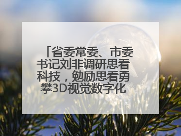 省委常委、市委书记刘非调研思看科技，勉励思看勇攀3D视觉数字化科技高峰