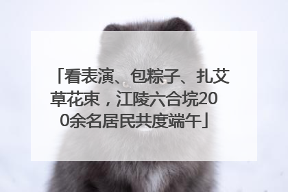看表演、包粽子、扎艾草花束，江陵六合垸200余名居民共度端午