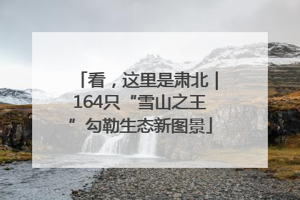 看，这里是肃北｜164只“雪山之王”勾勒生态新图景