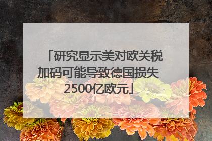研究显示美对欧关税加码可能导致德国损失2500亿欧元