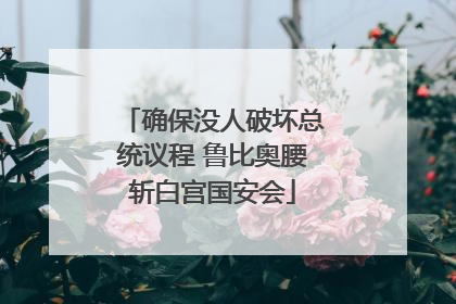 确保没人破坏总统议程 鲁比奥腰斩白宫国安会