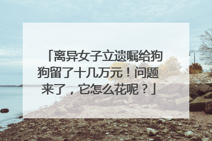 离异女子立遗嘱给狗狗留了十几万元！问题来了，它怎么花呢？