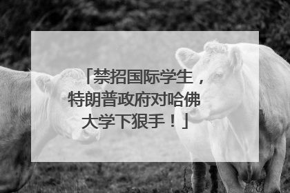 禁招国际学生，特朗普政府对哈佛大学下狠手！