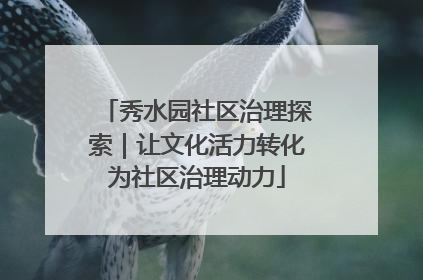 秀水园社区治理探索｜让文化活力转化为社区治理动力