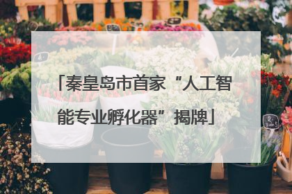 秦皇岛市首家“人工智能专业孵化器”揭牌