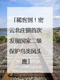 稀客到！密云北庄镇首次发现国家二级保护鸟类凤头鹰