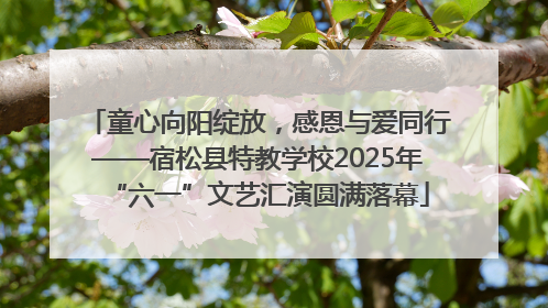 童心向阳绽放，感恩与爱同行——宿松县特教学校2025年“六一”文艺汇演圆满落幕