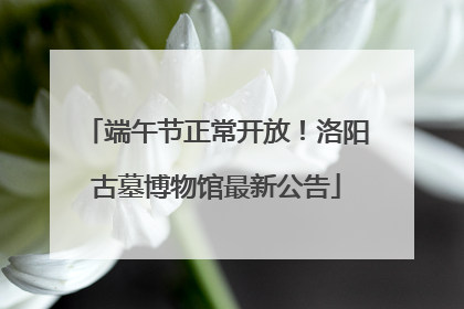 端午节正常开放！洛阳古墓博物馆最新公告