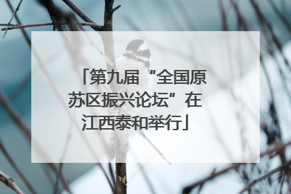 第九届“全国原苏区振兴论坛”在江西泰和举行