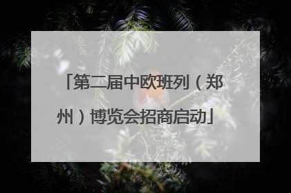 第二届中欧班列（郑州）博览会招商启动