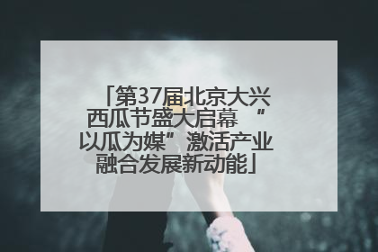 第37届北京大兴西瓜节盛大启幕 “以瓜为媒”激活产业融合发展新动能