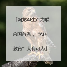网龙AI生产力联合国首秀，“AI+教育”大有可为
