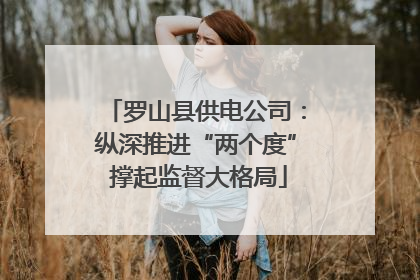 罗山县供电公司：纵深推进“两个度” 撑起监督大格局
