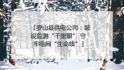 罗山县供电公司：装设监测“千里眼” 守牢电网“生命线”
