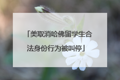 美取消哈佛留学生合法身份行为被叫停