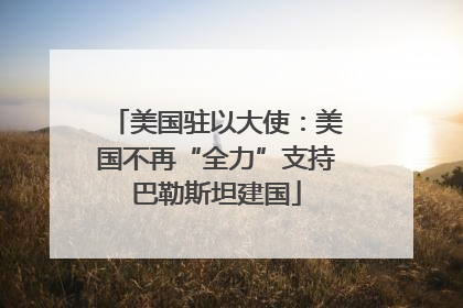 美国驻以大使：美国不再“全力”支持巴勒斯坦建国