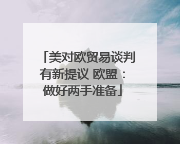 美对欧贸易谈判有新提议 欧盟：做好两手准备
