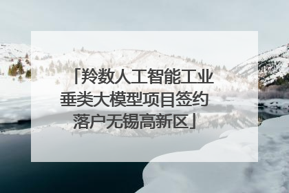 羚数人工智能工业垂类大模型项目签约落户无锡高新区