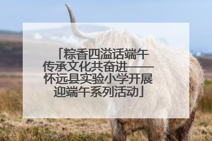 粽香四溢话端午 传承文化共奋进——怀远县实验小学开展迎端午系列活动