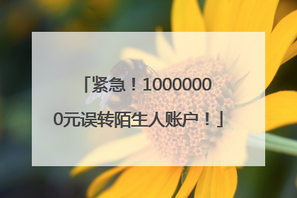 紧急！10000000元误转陌生人账户！