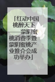 红动中国 桃醉天下——蒙阴蜜桃消费季暨蒙阴蜜桃产业推介会成功举办