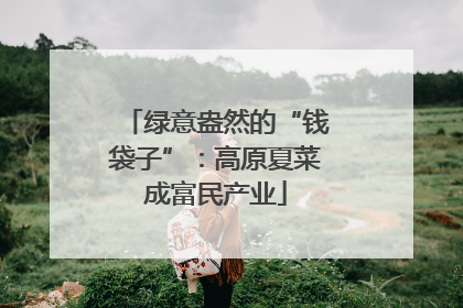 绿意盎然的“钱袋子”：高原夏菜成富民产业