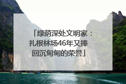 绿荫深处文明家：扎根林场46年又捧回沉甸甸的荣誉