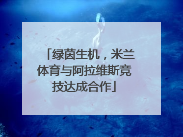 绿茵生机，米兰体育与阿拉维斯竞技达成合作