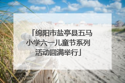 绵阳市盐亭县五马小学六一儿童节系列活动圆满举行