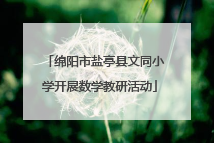 绵阳市盐亭县文同小学开展数学教研活动