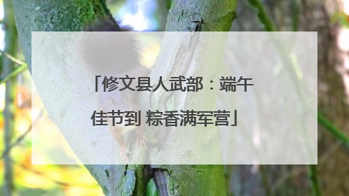 修文县人武部：端午佳节到 粽香满军营