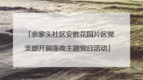余家头社区安胜花园片区党支部开展廉政主题党日活动