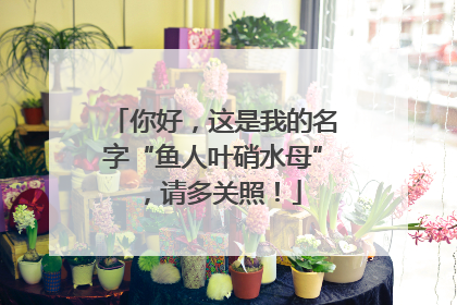 你好，这是我的名字“鱼人叶硝水母”，请多关照！