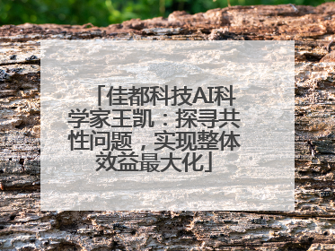 佳都科技AI科学家王凯：探寻共性问题，实现整体效益最大化