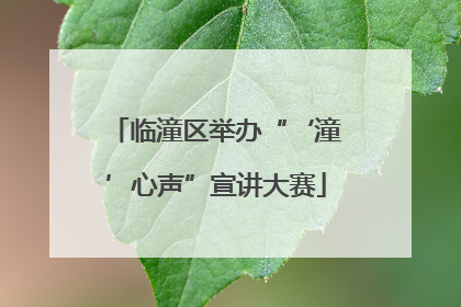 临潼区举办“‘潼’心声”宣讲大赛