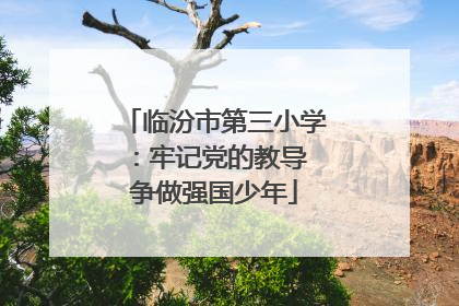 临汾市第三小学：牢记党的教导 争做强国少年