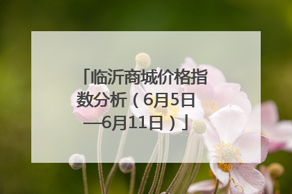 临沂商城价格指数分析（6月5日—6月11日）