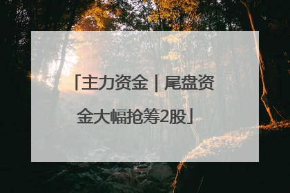 主力资金｜尾盘资金大幅抢筹2股