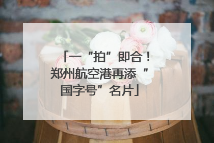 一“拍”即合！郑州航空港再添“国字号”名片