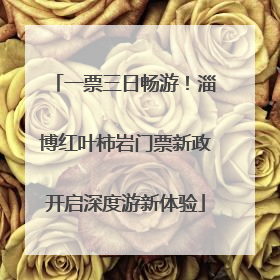 一票三日畅游！淄博红叶柿岩门票新政开启深度游新体验