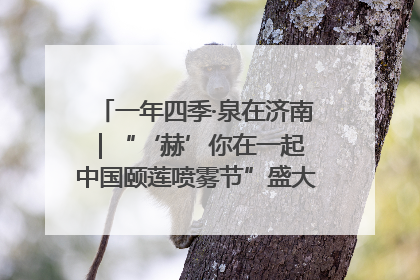 一年四季·泉在济南｜“‘赫’你在一起 中国颐莲喷雾节”盛大开启 共赴水润之约