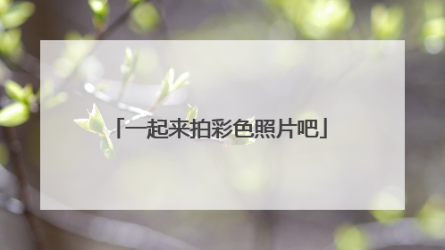 一起来拍彩色照片吧