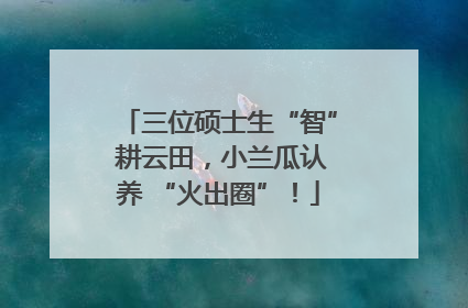 三位硕士生“智” 耕云田，小兰瓜认养 “火出圈”！