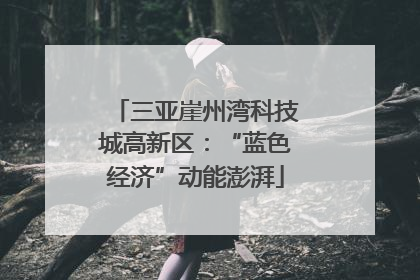 三亚崖州湾科技城高新区：“蓝色经济”动能澎湃