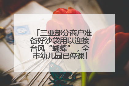 三亚部分商户准备好沙袋用以迎接台风“蝴蝶”，全市幼儿园已停课