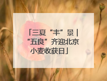 三夏“丰”景｜“五良”齐迎北京小麦收获日