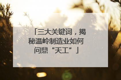 三大关键词，揭秘温岭制造业如何问鼎“天工”