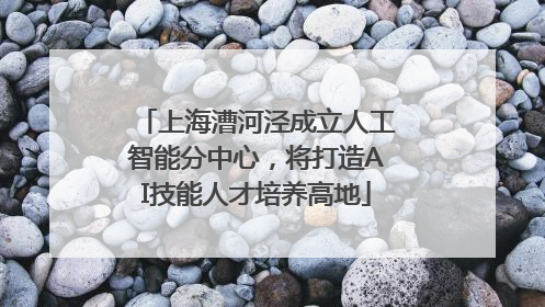 上海漕河泾成立人工智能分中心，将打造AI技能人才培养高地