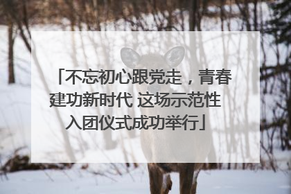 不忘初心跟党走，青春建功新时代 这场示范性入团仪式成功举行