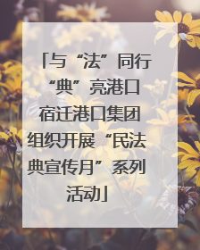 与“法”同行 “典”亮港口 宿迁港口集团组织开展“民法典宣传月”系列活动